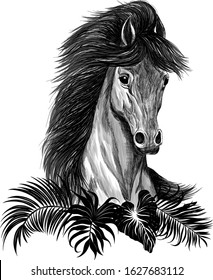 black horse and palm leaf composition vector