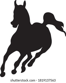 Black horse run in the 