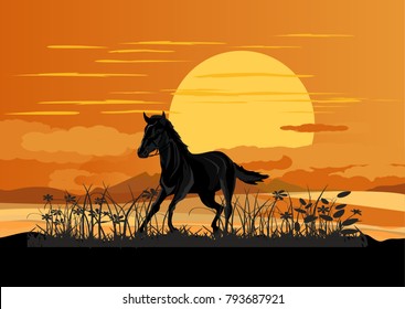 Black horse running on the grassland, vector landscape, sun on the horizon