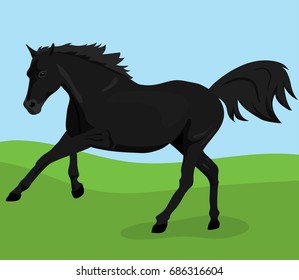 Black Horse Runs along the grass forward. Vector linear drawing.