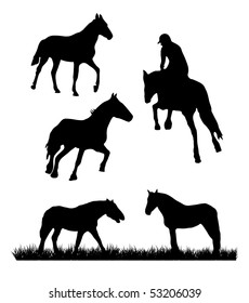 black horse set