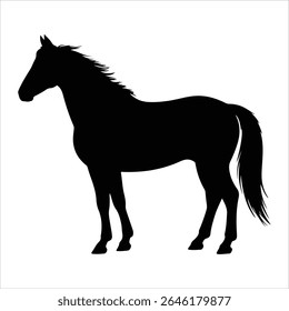 Black horse silhouette isolated on white background
