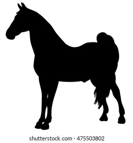 black horse silhouette. Vector animal