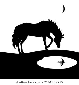 Black horse, a horse standing on the shore of a lake.