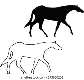 Black horse walks. The vector of the contours of the horse.