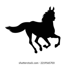 Schwarzes Pferd mit Weiß. Pferd, Ikone, Vektorgrafik. Vektor Silhouette eines Pferdes. schöne Ross-Vektorgrafik