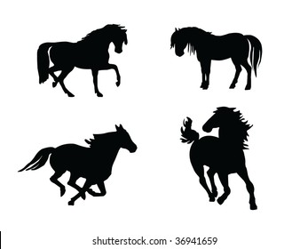 black horses silhouette vector