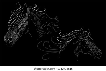 Black horses vector illustration. Set of two horses sketch on the black background