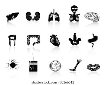 black human anatomy icon