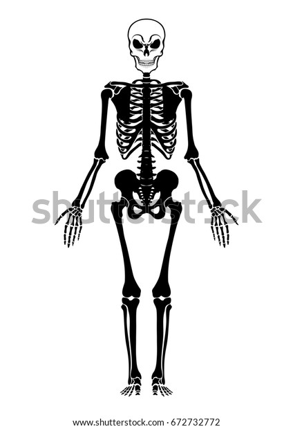 Black Human Skeleton Stock Vector (Royalty Free) 672732772 | Shutterstock