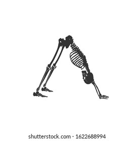 Black human skeletons Free Vector

