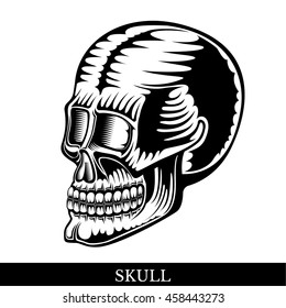 Black human skull half
