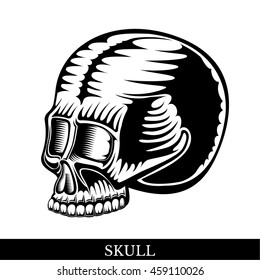 Black human skull half-turned view without a lower jaw