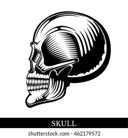 Black human skull in profile with a lower jaw