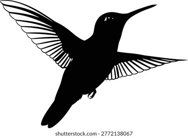 Black hummingbird flying with spread wings