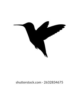 Ilustração plana do vetor da silhueta do beija-flor preto no fundo branco.