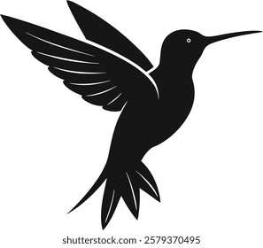 Black Hummingbird Vector Illustration Art Design