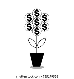 Black icon of Dollar Flower in the pot. Vector illustration, silhouette, clip art isolated on white background. 