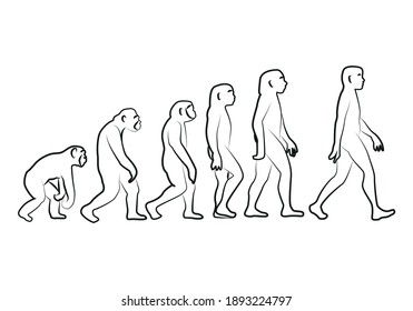 Black Icon Of Human Evolution.