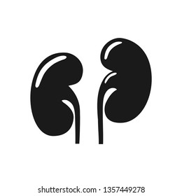 Black icon of human kidneys in flat style isolated over white background. Vector illustration