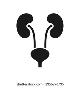 Black icon of human urinary system in flat style isolated over white background. Vector illustration