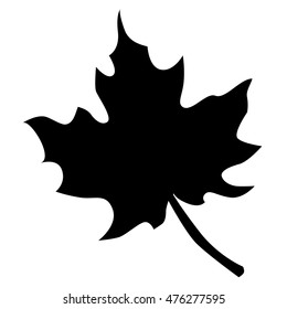 black icon maple leaf on a white background. Template for holiday decoration or inserts to the site. Vector illustration