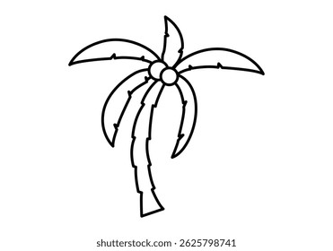 Black icon of palm tree with coconuts