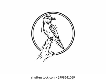 Black illustration drawing of bird standing on a log design