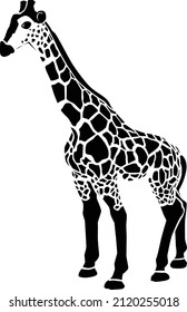 Black illustration of a giraffe on a white background