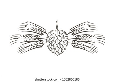 black illustration of hop and barley for brewing isolated on white background
