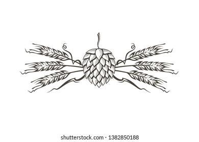 black illustration of hop and barley for brewing isolated on white background