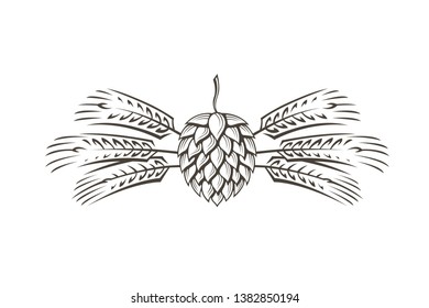 black illustration of hop and barley for brewing isolated on white background