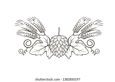 black illustration of hop and barley for brewing isolated on white background