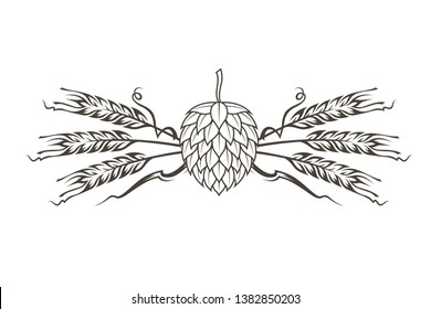 black illustration of hop and barley for brewing isolated on white background