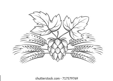 black illustration of hop and barley ear for brewing