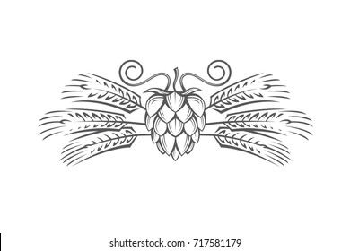 black illustration of hop and barley ear for brewing