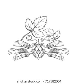 black illustration of hop and barley ear for brewing
