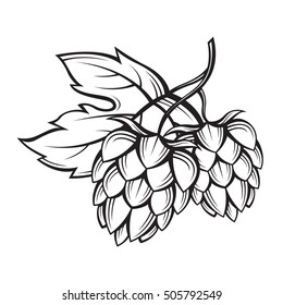 Black Illustration Of Hops For Brewing