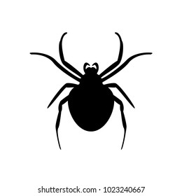 Black illustration of spider. Vector