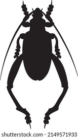 Black illustration of a tropical beetle. The insect is a pest of forests and gardens. Drawing for tattoo