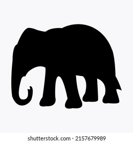 Black image elephant design vector Illustration isolated on white background