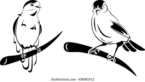 Oiseau Noir Et Blanc Images Stock Photos Vectors Shutterstock