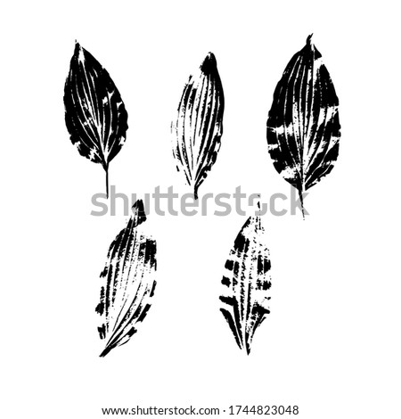Black imprints of tree leaves on a white background. Set of silhouetted leaves. Isolated botanical elements. Stock vector illustration.