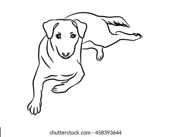 Black ink doodle line drawing of one long tail dog lay down on the ground, basic coloring book page isolated on white background