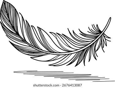 Black ink drawing of a single feather with a shadow cast below it.
