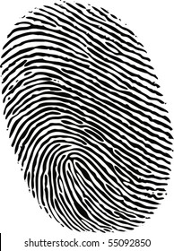 black ink fingerprint on white background in vector