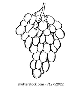 Black ink image of grape on white background
