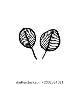 Black ink leaves, hand drawn elements on white background