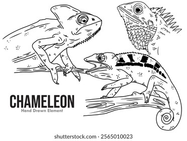 Black ink Line Art Design Sketch of chameleon animal, with 3 different sided shapes