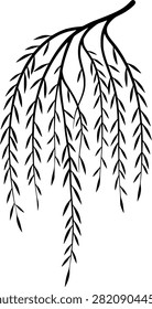 Black ink line art of a drooping weeping willow branch
